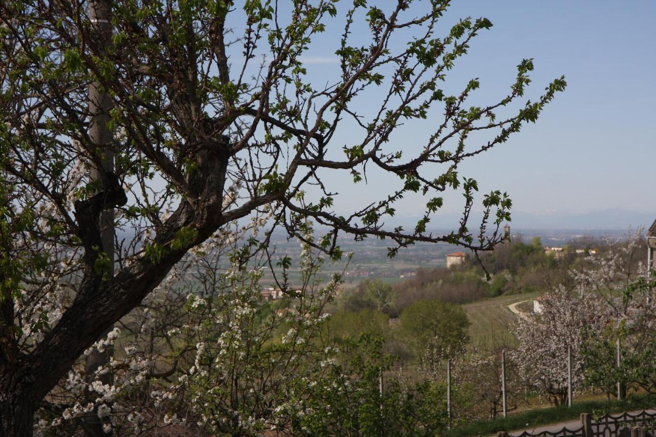 Gli Acini Bed & Breakfast Pietra de' Giorgi Exterior photo